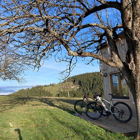 Villa Tiny House Mislinja Esterno foto