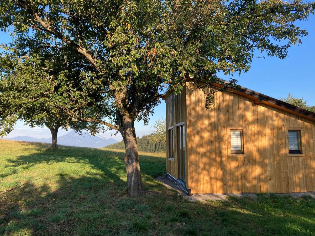 Villa Tiny House Mislinja Esterno foto