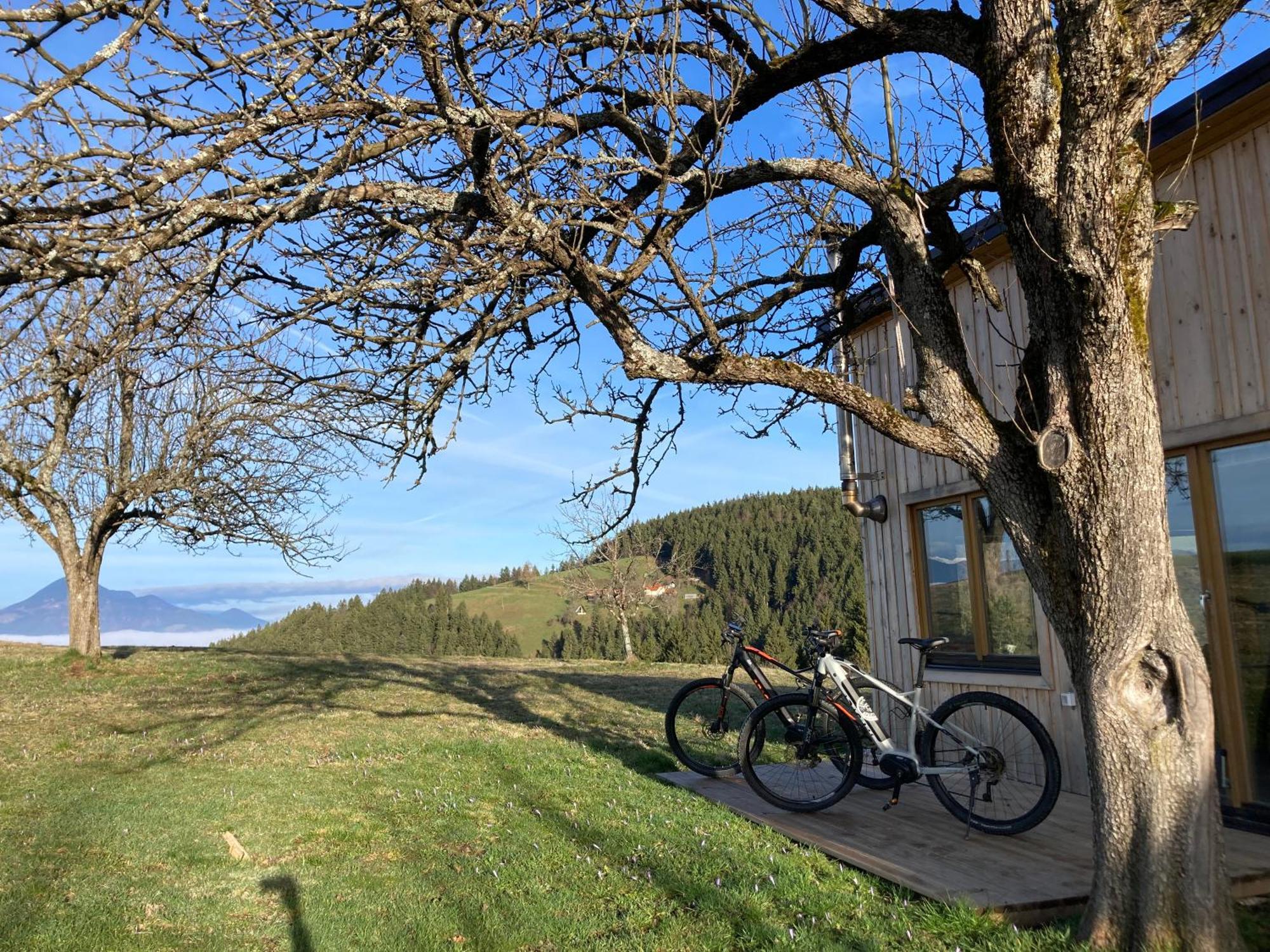 Villa Tiny House Mislinja Esterno foto